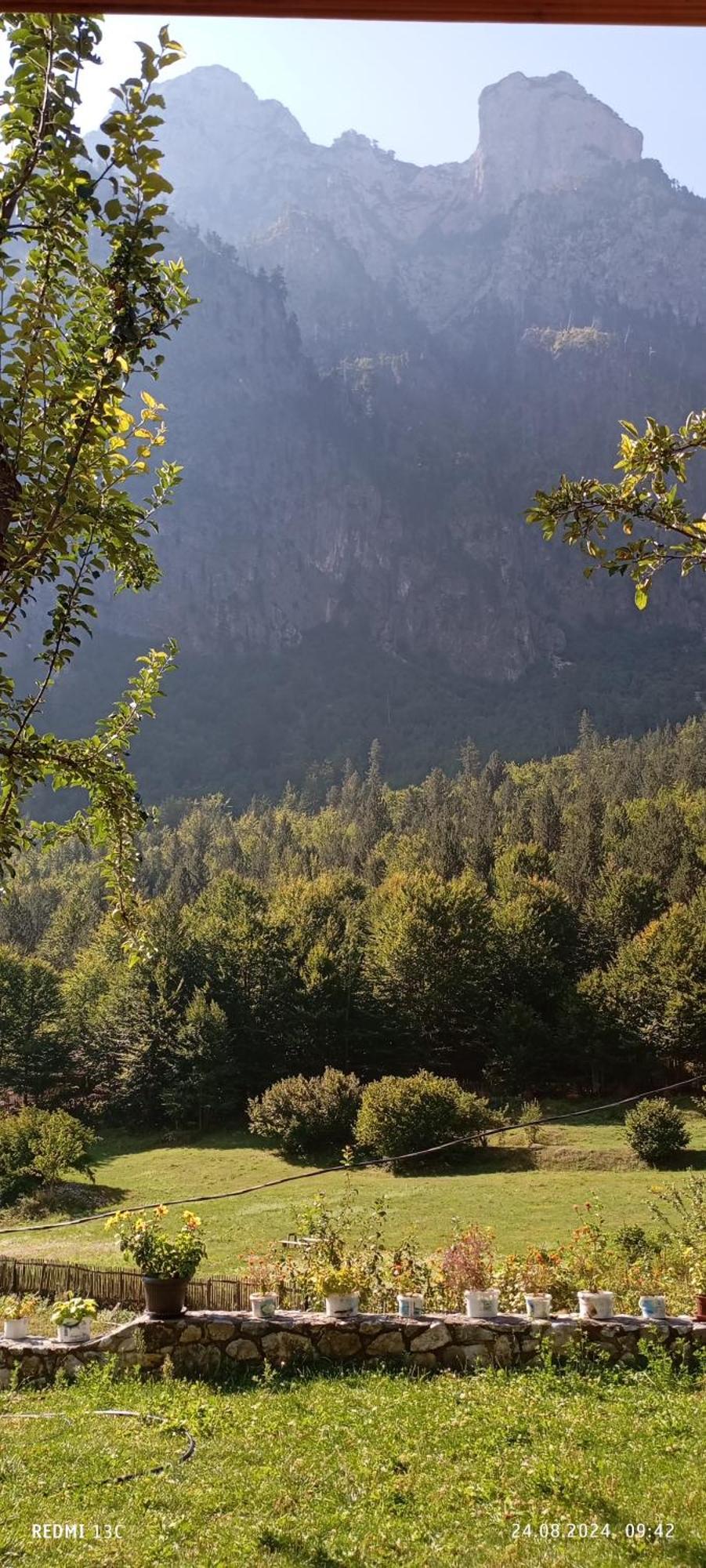 Bujtina Sherifaj Вальбоне Екстер'єр фото